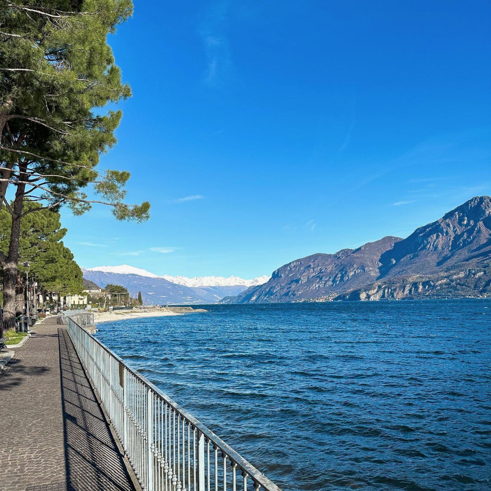 Renzo E Lucia Lake View Apartment Oliveto Lario Εξωτερικό φωτογραφία